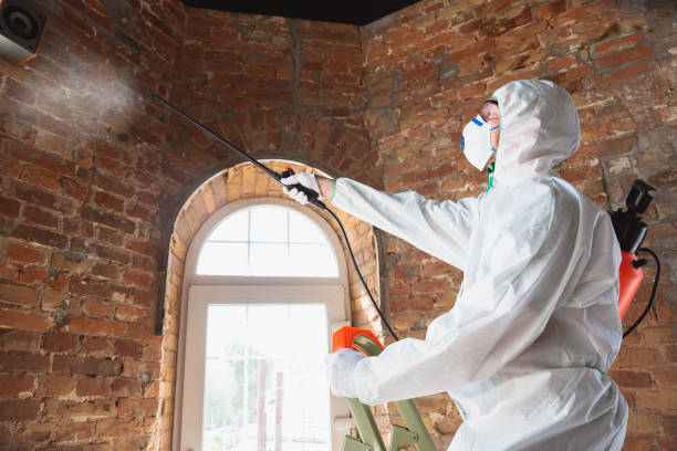 Best Mold Prevention Services in Middleton, WI